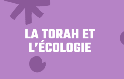 Podcast – « la Torah et l’écologie » par le rabbin Philippe Haddad