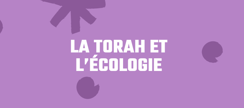 La Torah et l'écologie